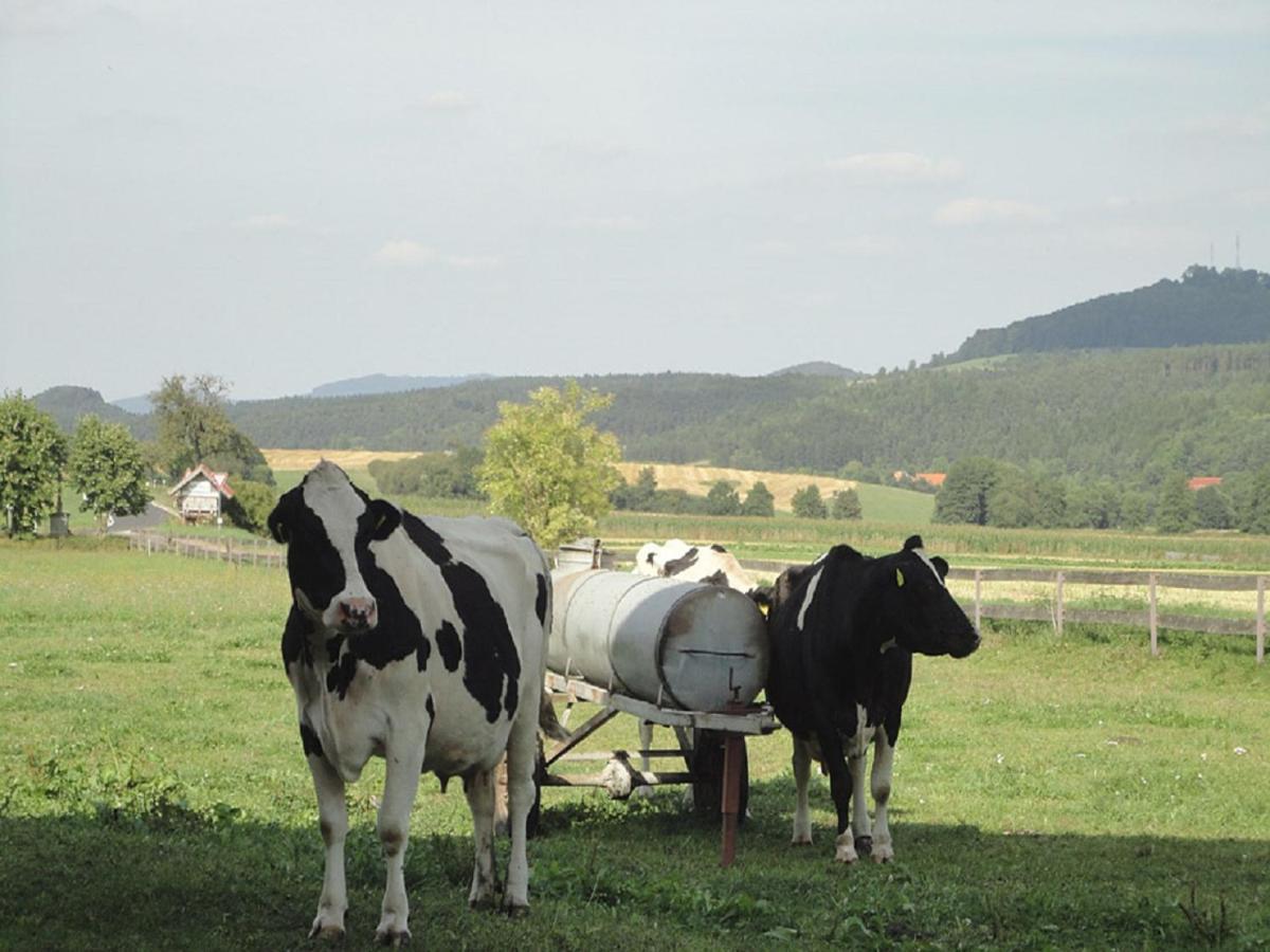 Monteurwohnungen Goeb - Nicht Fuer Urlaubsgaeste Geisa Esterno foto